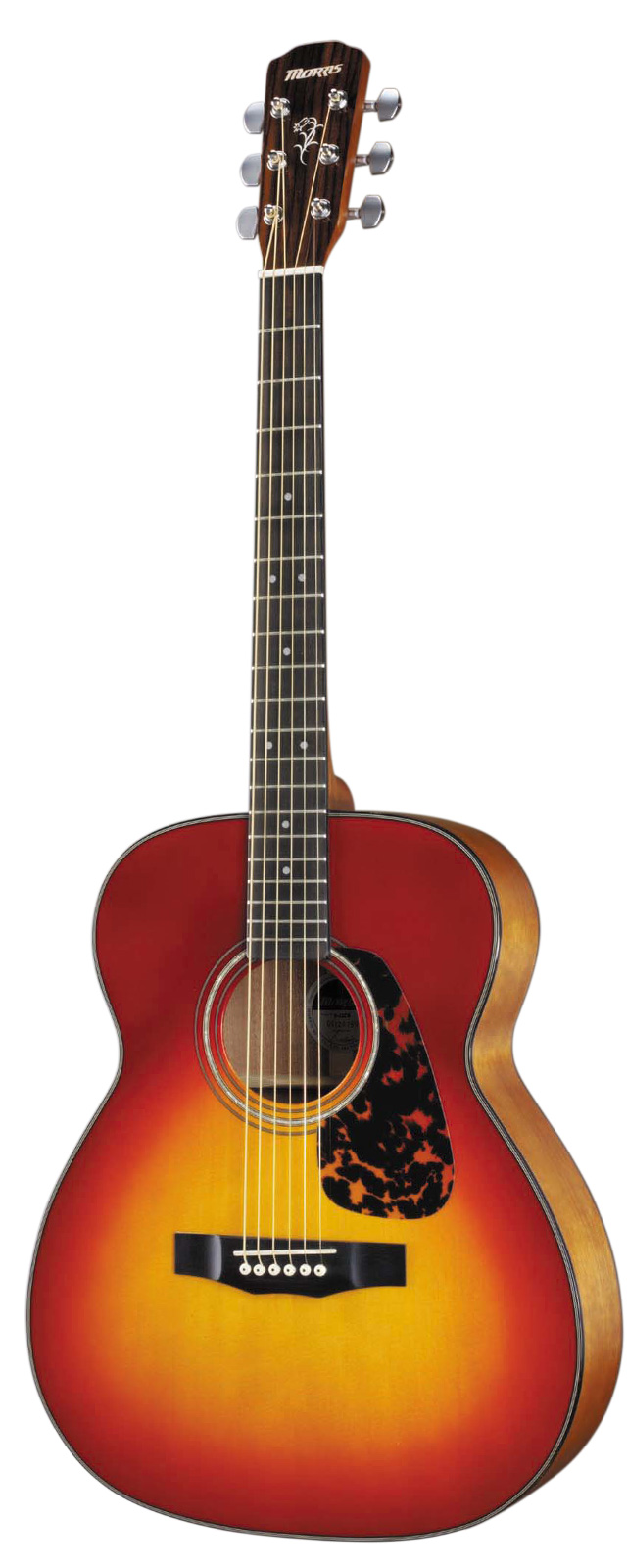 Morris アコースティックギター　f-351 cs モーリス 明日までホビー・楽器・アート