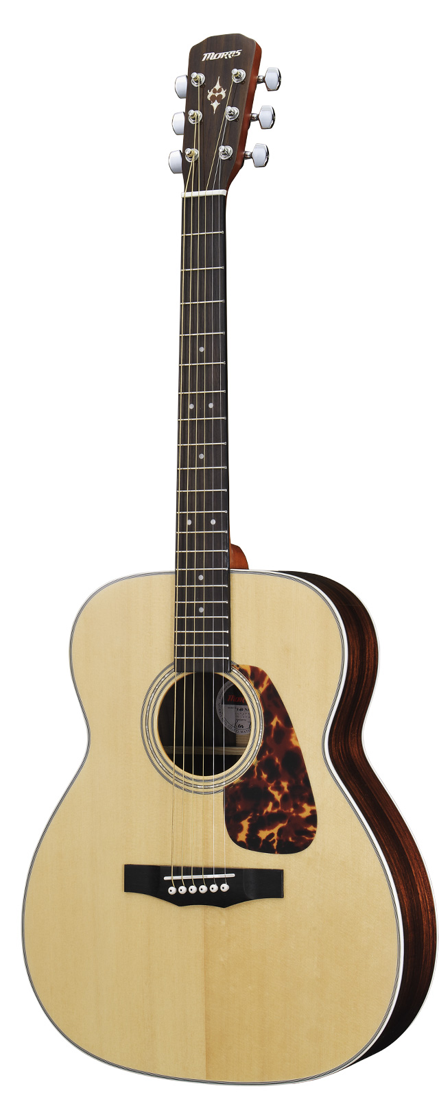 morrisアコースティックギターS-40 - アコースティックギター