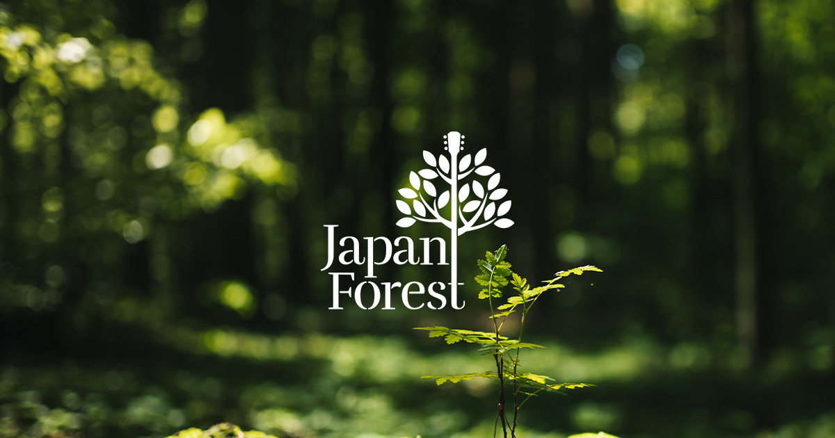Japan Forest | Morris Guitars